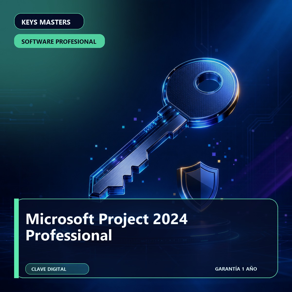 Microsoft Project 2024 Professional