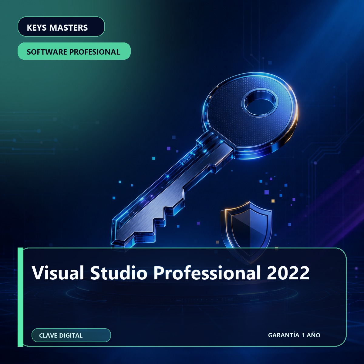 Visual Studio Professional 2022