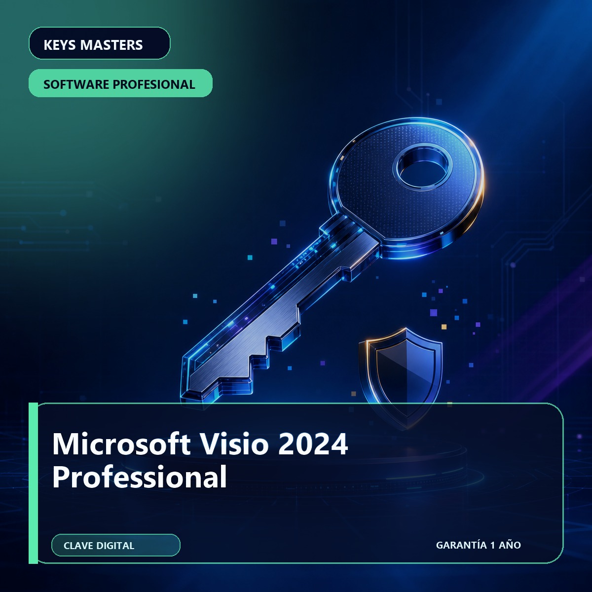 Microsoft Visio 2024 Professional